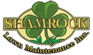 Shamrock Lawn Maintenance